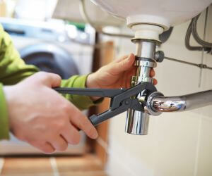 About Plumbers Pros Telogia, FL